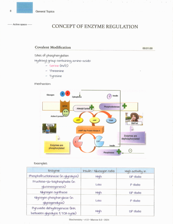 Marroww Notes Edition 8 Physiology