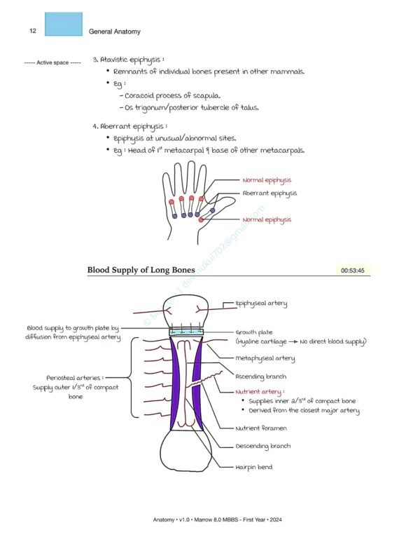 MARROW MBBS ANATOMY NOTES | MARROW MBBS ANATOMY NOTES - Image 17