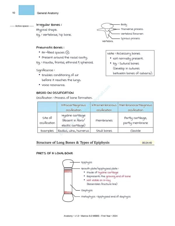 MARROW MBBS ANATOMY NOTES | MARROW MBBS ANATOMY NOTES - Image 19