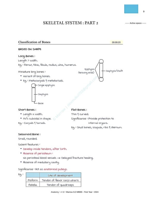 anatomy mba 1st year_page-0004