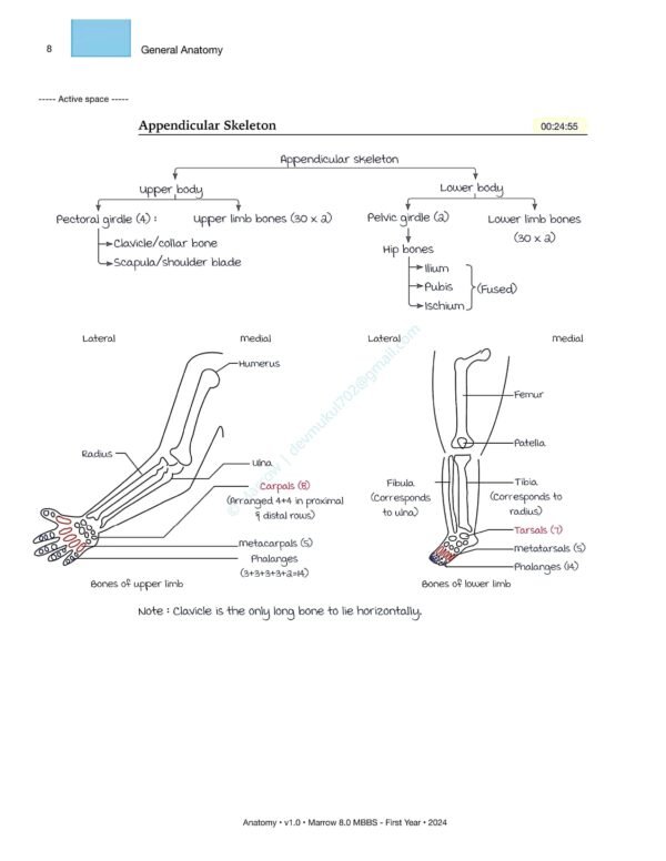 MARROW MBBS ANATOMY NOTES | MARROW MBBS ANATOMY NOTES - Image 9