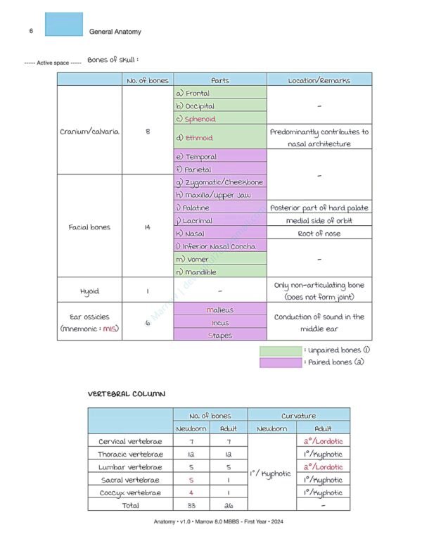 MARROW MBBS ANATOMY NOTES | MARROW MBBS ANATOMY NOTES - Image 11