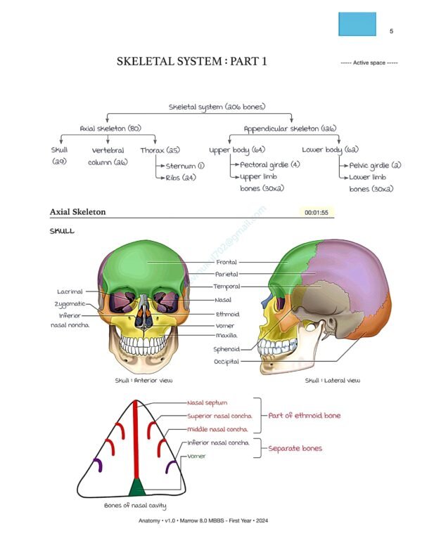 MARROW MBBS ANATOMY NOTES | MARROW MBBS ANATOMY NOTES - Image 12