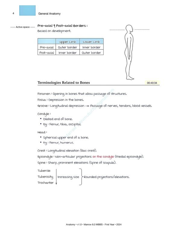 MARROW MBBS ANATOMY NOTES | MARROW MBBS ANATOMY NOTES - Image 13