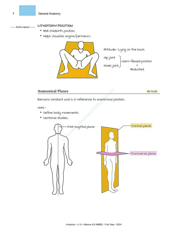 MARROW MBBS ANATOMY NOTES | MARROW MBBS ANATOMY NOTES - Image 15