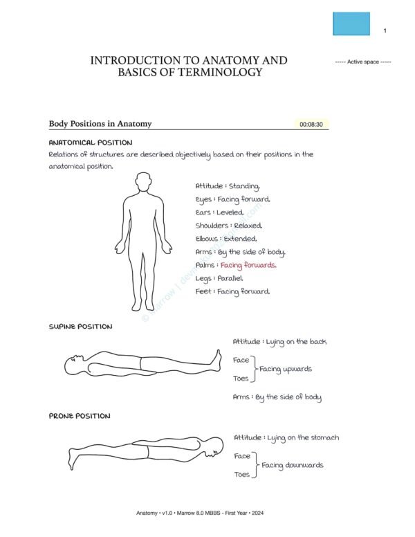 MARROW MBBS ANATOMY NOTES | MARROW MBBS ANATOMY NOTES - Image 16