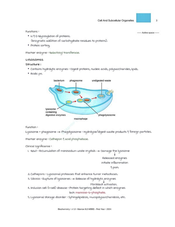 bio chem 1st year_page-0008
