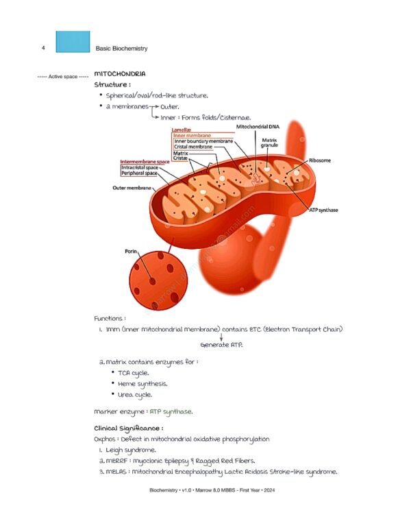 Shop Marrow MBBS First Year Notes | Best Quality Notes for NEET PG and MBBS Exams - Image 8