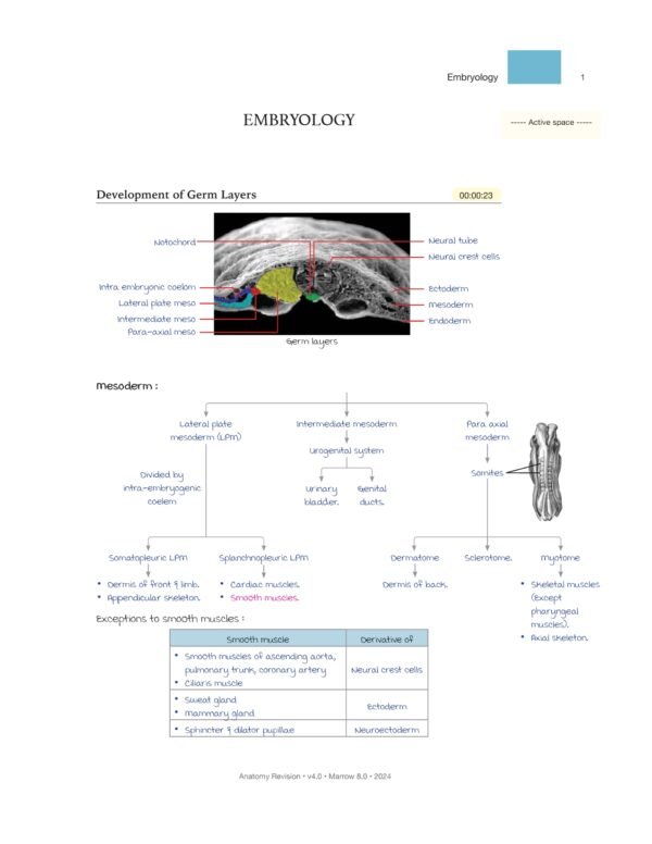 MARROW RAPID REVISION NOTES REVIEW | MARROW EDITION 8 RAPID REVISION NOTES - Image 8