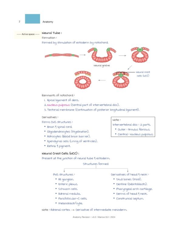 MARROW RAPID REVISION NOTES REVIEW | MARROW EDITION 8 RAPID REVISION NOTES - Image 9