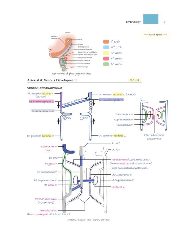 MARROW RAPID REVISION NOTES REVIEW | MARROW EDITION 8 RAPID REVISION NOTES - Image 12