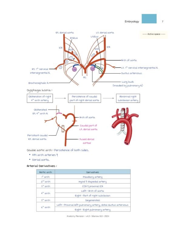 MARROW RAPID REVISION NOTES REVIEW | MARROW EDITION 8 RAPID REVISION NOTES - Image 14