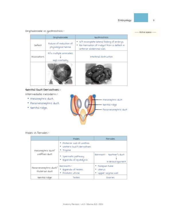 MARROW RAPID REVISION NOTES REVIEW | MARROW EDITION 8 RAPID REVISION NOTES - Image 16