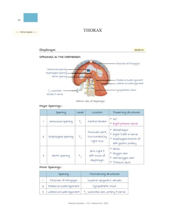 MARROW RAPID REVISION NOTES REVIEW | MARROW EDITION 8 RAPID REVISION NOTES - Image 17