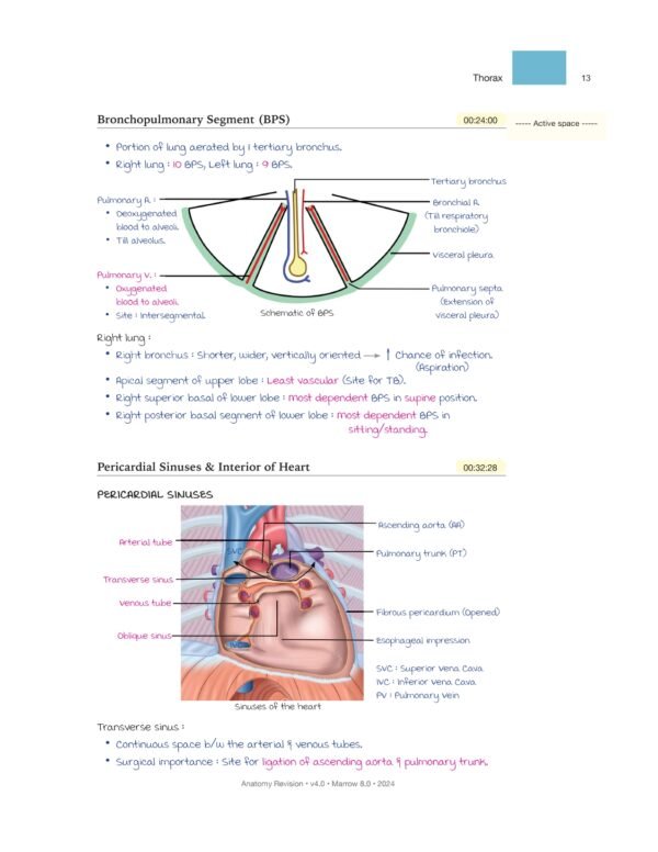 marrow rapid revision notes