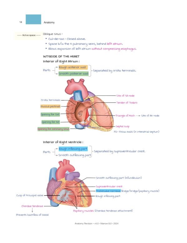 marrow rapid revision notes