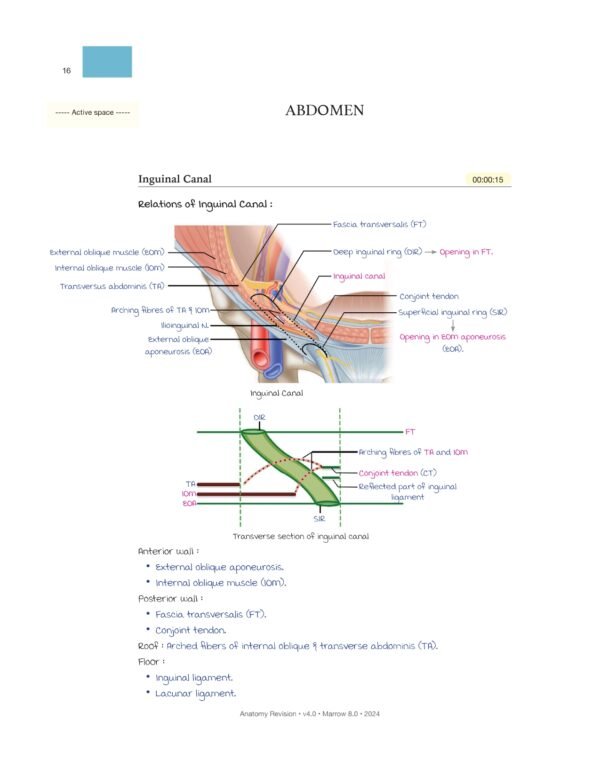 MARROW RAPID REVISION NOTES REVIEW | MARROW EDITION 8 RAPID REVISION NOTES - Image 3