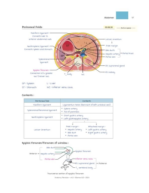 MARROW RAPID REVISION NOTES REVIEW | MARROW EDITION 8 RAPID REVISION NOTES - Image 4