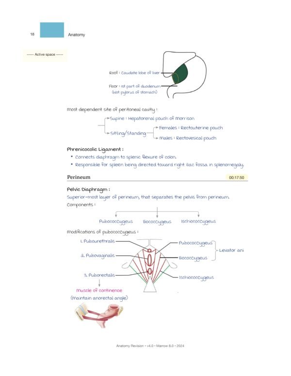 MARROW RAPID REVISION NOTES REVIEW | MARROW EDITION 8 RAPID REVISION NOTES - Image 5