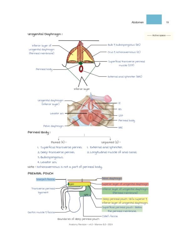 MARROW RAPID REVISION NOTES REVIEW | MARROW EDITION 8 RAPID REVISION NOTES - Image 6
