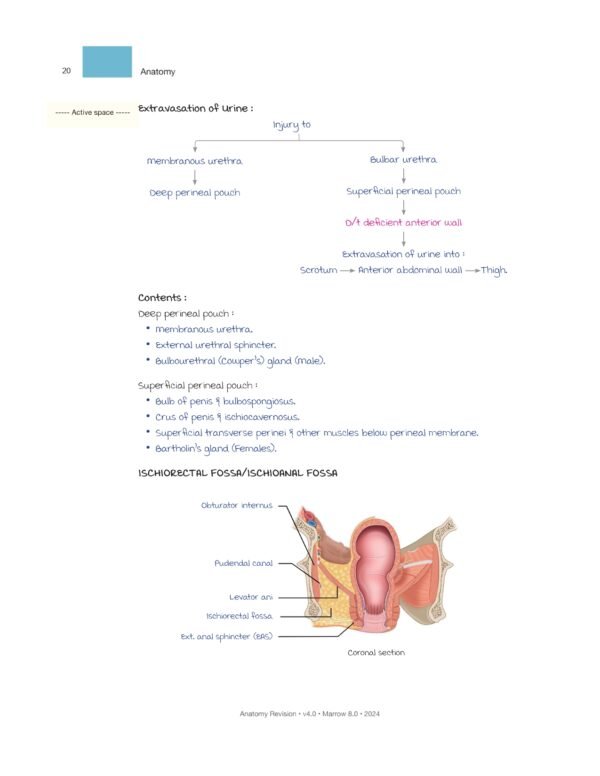 MARROW RAPID REVISION NOTES REVIEW | MARROW EDITION 8 RAPID REVISION NOTES - Image 7