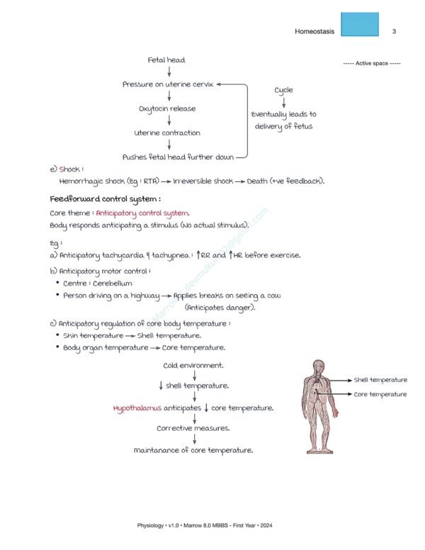 MARROW MBBS PHYSIOLOGY NOTES | MARROW MBBS PHYSIOLOGY NOTES - Image 7