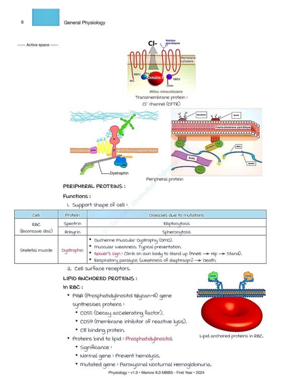 MARROW MBBS PHYSIOLOGY NOTES | MARROW MBBS PHYSIOLOGY NOTES - Image 2