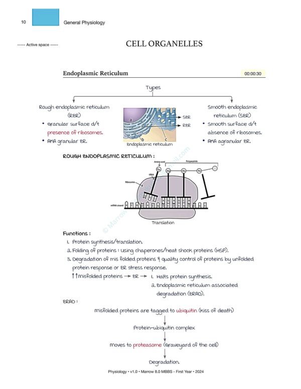 MARROW MBBS PHYSIOLOGY NOTES | MARROW MBBS PHYSIOLOGY NOTES - Image 4