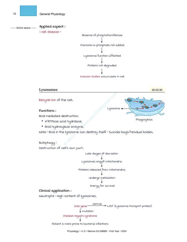MARROW MBBS PHYSIOLOGY NOTES | MARROW MBBS PHYSIOLOGY NOTES - Image 6
