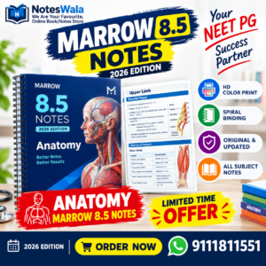 marrow 8.5 anatomy notes